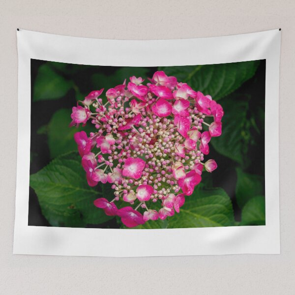 Item preview, The Blume Beginning designed and sold by barkeypf.