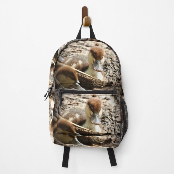 Item preview, Radjah Shelduck duckling stare at camera designed and sold by Mark Grimsley.