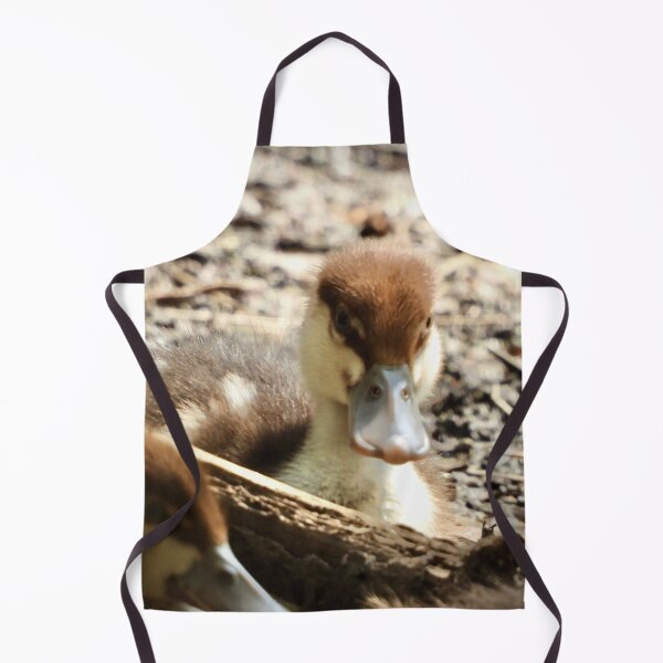 Item preview, Radjah Shelduck duckling stare at camera designed and sold by Mark Grimsley.