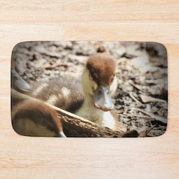 Item preview, Radjah Shelduck duckling stare at camera designed and sold by Mark Grimsley.