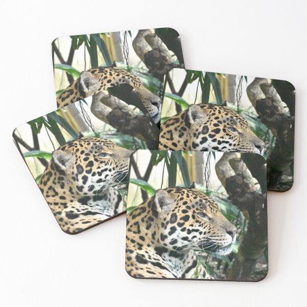 Item preview, Jaguar designed and sold by megjayne-photos.