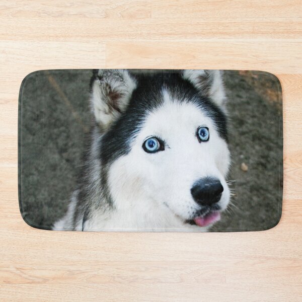 Artikelvorschau, Alaskan Husky entworfen und verkauft von ontological.
