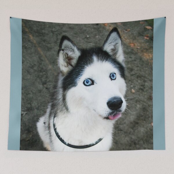 Artikelvorschau, Alaskan Husky entworfen und verkauft von ontological.