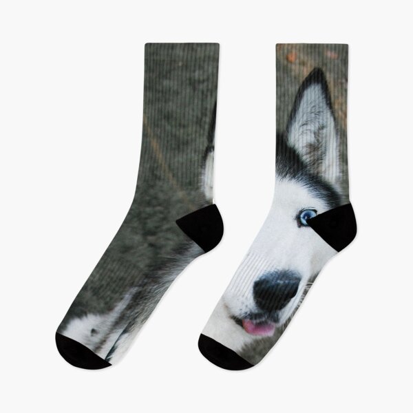 Item preview, Alaskan Husky designed and sold by ontological.