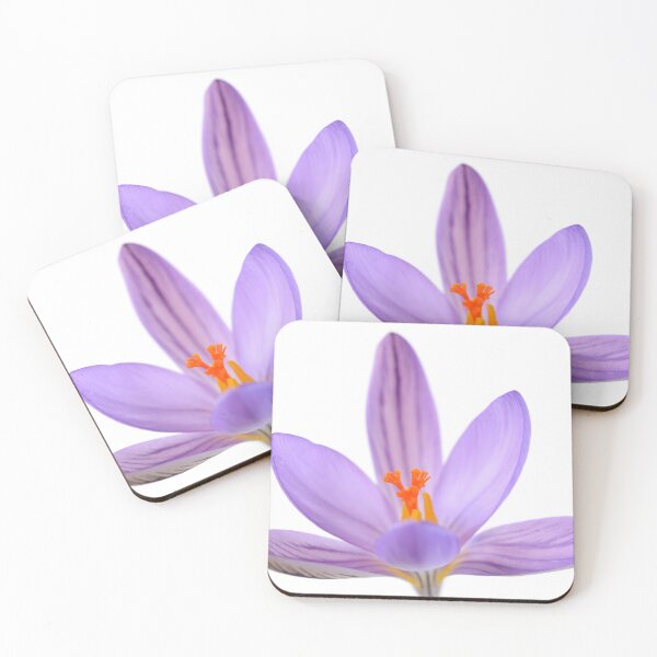 Item preview, Crocus corsicus  AGM	  Corsican crocus   designed and sold by Chris Burrows.