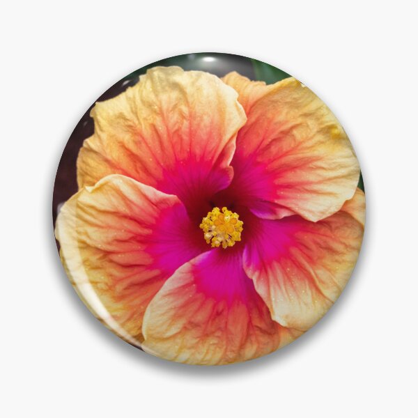 Item preview, Hibiscus, Far North Queensland designed and sold by Kate Powick.
