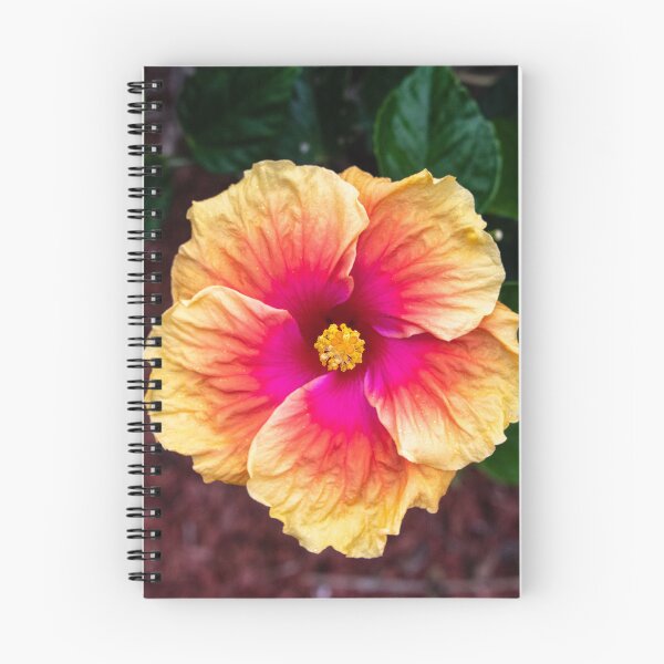 Item preview, Hibiscus, Far North Queensland designed and sold by Kate Powick.