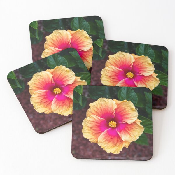 Item preview, Hibiscus, Far North Queensland designed and sold by Kate Powick.