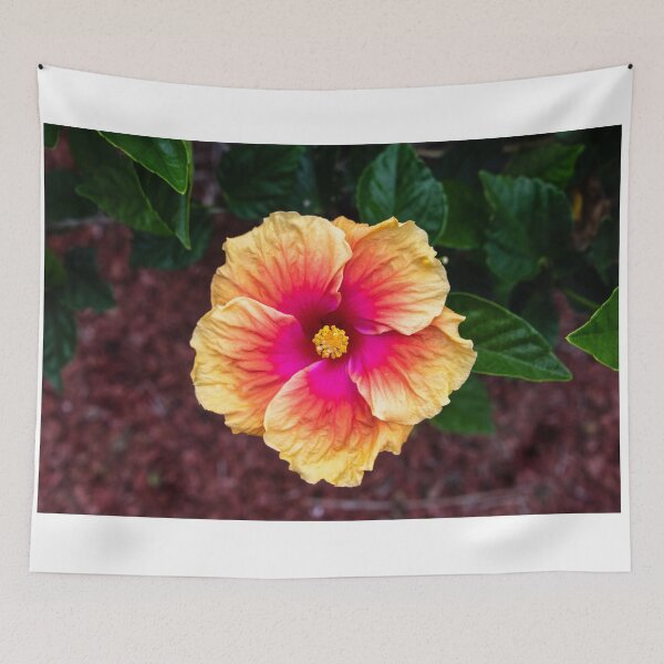 Item preview, Hibiscus, Far North Queensland designed and sold by Kate Powick.