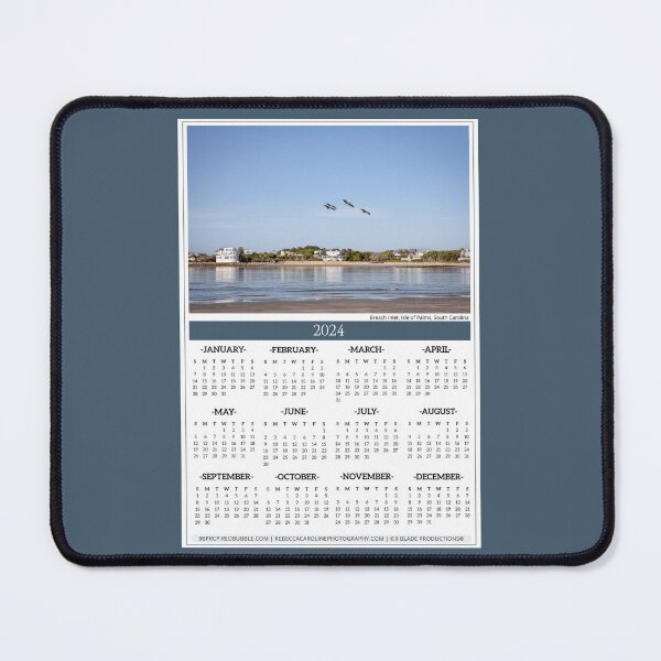 Item preview, 2024 Calendar | Year-At-A-Glance | South Carolina | Pelican Fly By designed and sold by 9BPRCP.