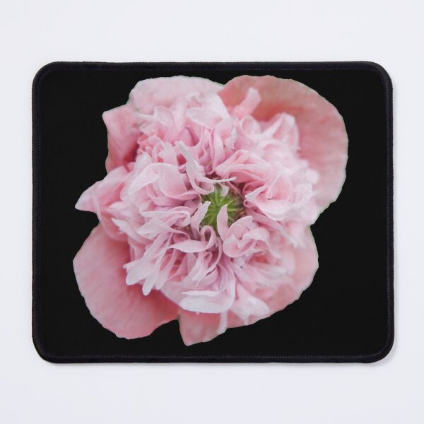 Item preview, Peonie Pink  designed and sold by appfoto.