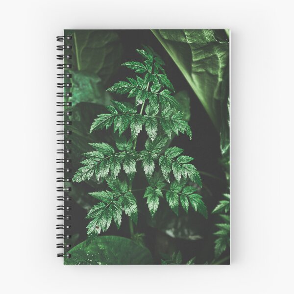 Item preview, Fern designed and sold by PaigeGodfrey.