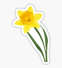 Daffodil Sticker