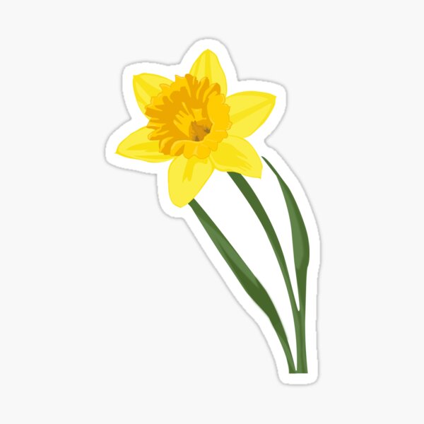 Daffodil Stickers | Redbubble