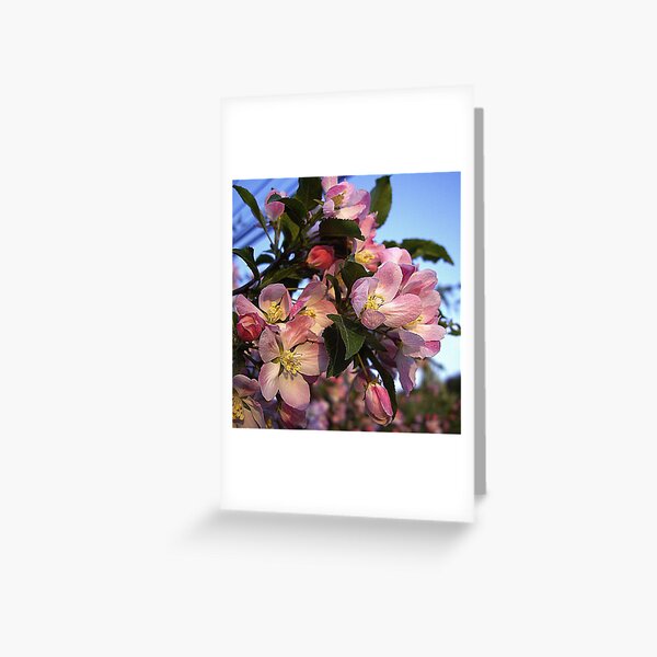 Item preview, Spring Blossoms designed and sold by Rusty (Helen)  Valenza.