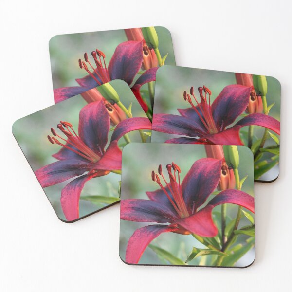 Item preview, Lily designed and sold by cuprum.