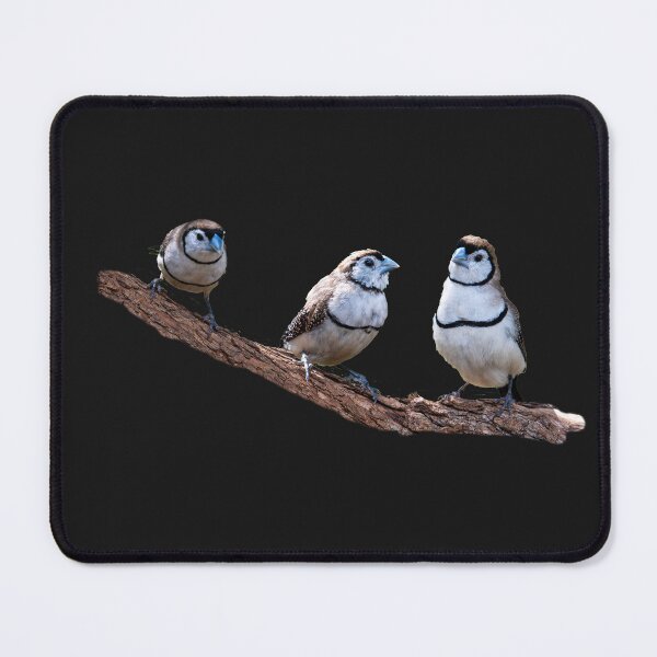 Item preview, Australian birds - double-barred finches designed and sold by Ozjanette90.