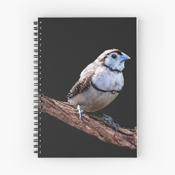 Item preview, Australian birds - double-barred finches designed and sold by Ozjanette90.