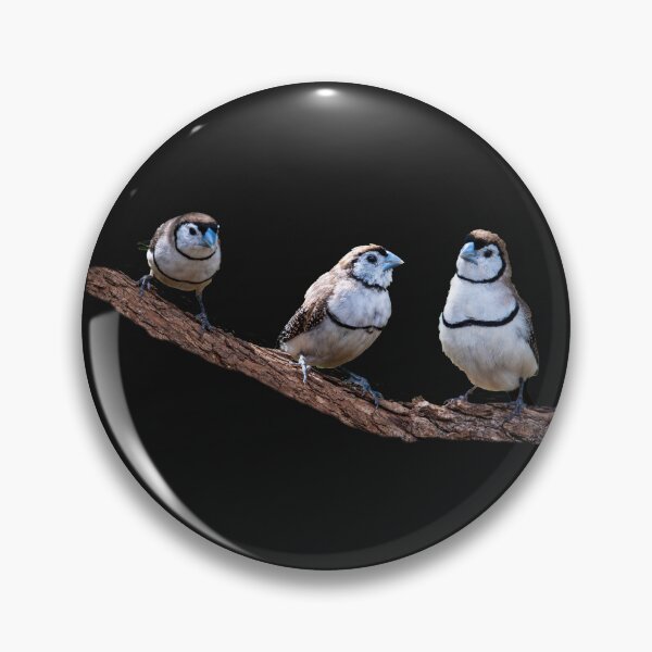 Item preview, Australian birds - double-barred finches designed and sold by Ozjanette90.