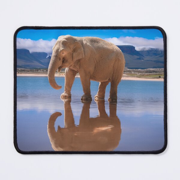 Item preview, Elephant Standing In A Shallow Lake On Safari designed and sold by henrytangphotos.