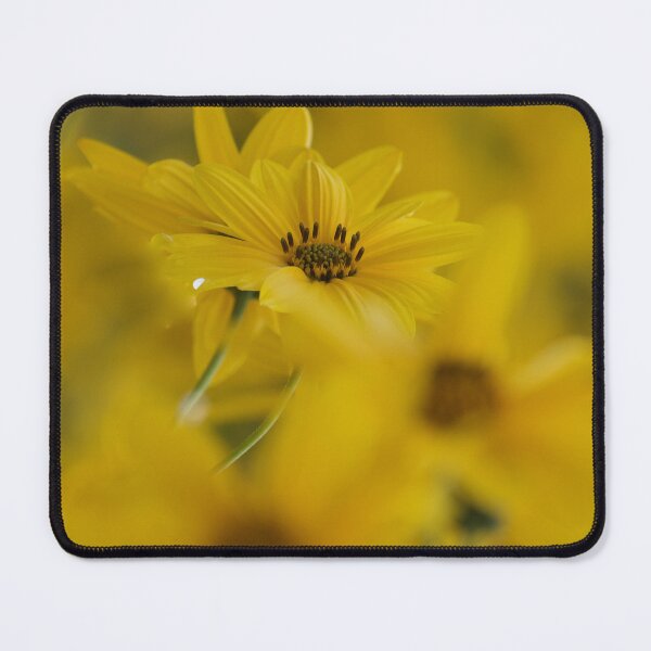 Item preview, Wild Sunflower designed and sold by Kim Chi Thai.