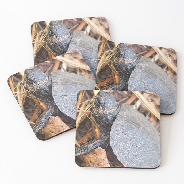 Item preview, Baby Snapping Turtle  designed and sold by etherealwonders.