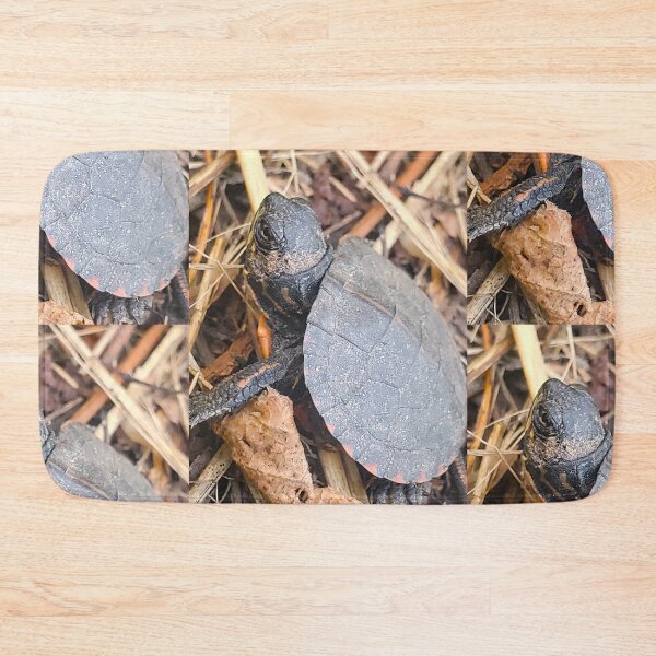 Item preview, Baby Snapping Turtle  designed and sold by etherealwonders.