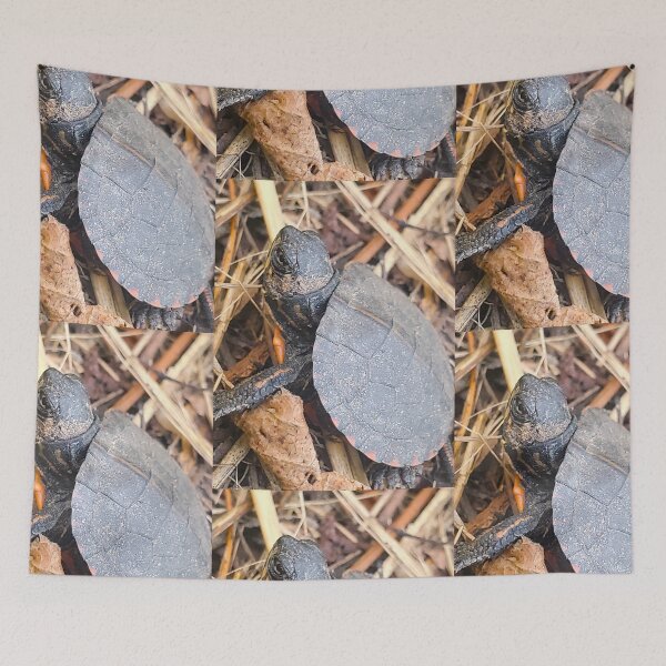 Item preview, Baby Snapping Turtle  designed and sold by etherealwonders.