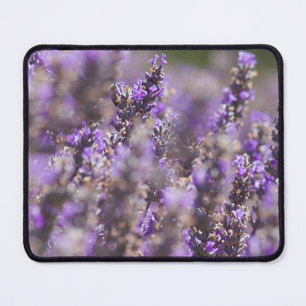 Item preview, Lavender designed and sold by Kim Chi Thai.
