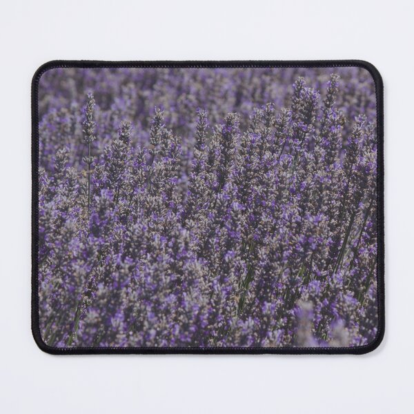 Item preview, Lavender designed and sold by Kim Chi Thai.