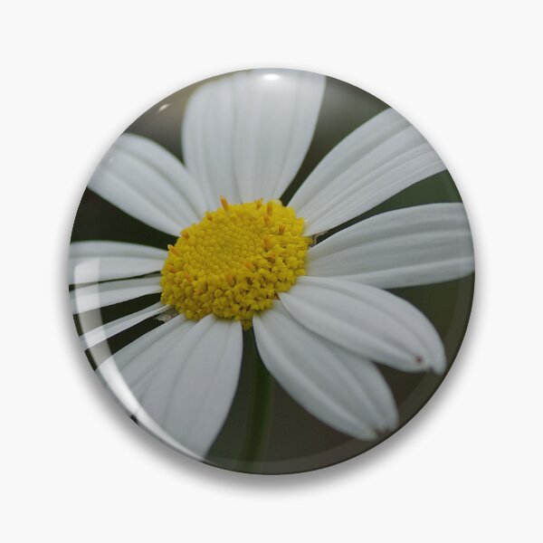 Item preview, White Daisy designed and sold by Kim Chi Thai.