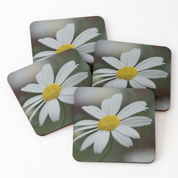 Item preview, White Daisy designed and sold by Kim Chi Thai.