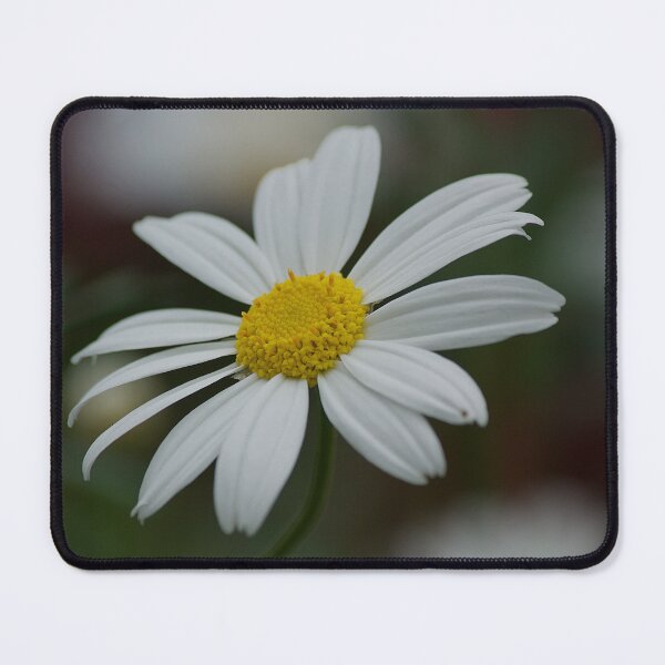 Item preview, White Daisy designed and sold by Kim Chi Thai.
