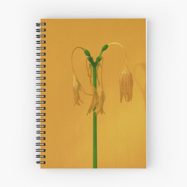Item preview, Dried up flowers designed and sold by riku05830.