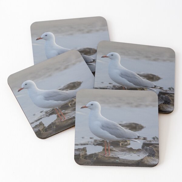 Item preview, Seagullb (Seabirds) designed and sold by Kim Chi Thai.