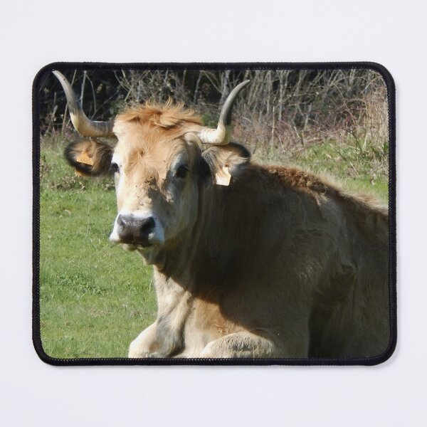 Artikelvorschau, Cow with horns entworfen und verkauft von animal-animal.