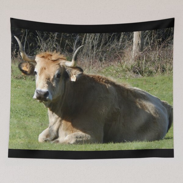 Item preview, Cow with horns designed and sold by animal-animal.