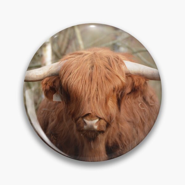 Item preview, Cow with horns designed and sold by animal-animal.