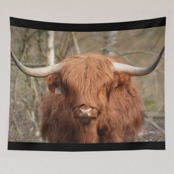 Item preview, Cow with horns designed and sold by animal-animal.