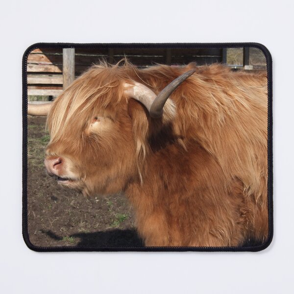 Artikelvorschau, Cow with horns entworfen und verkauft von animal-animal.
