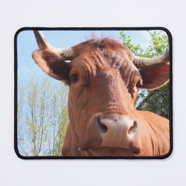 Item preview, Cow with horns designed and sold by animal-animal.