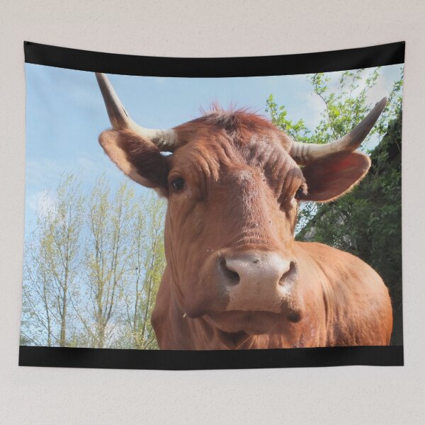 Item preview, Cow with horns designed and sold by animal-animal.