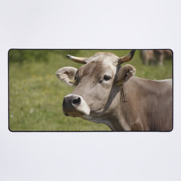 Item preview, Cow with horns designed and sold by animal-animal.
