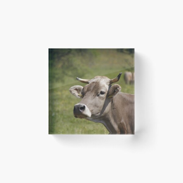 Artikelvorschau, Cow with horns entworfen und verkauft von animal-animal.