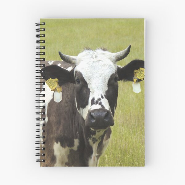 Item preview, Cow with horns designed and sold by animal-animal.