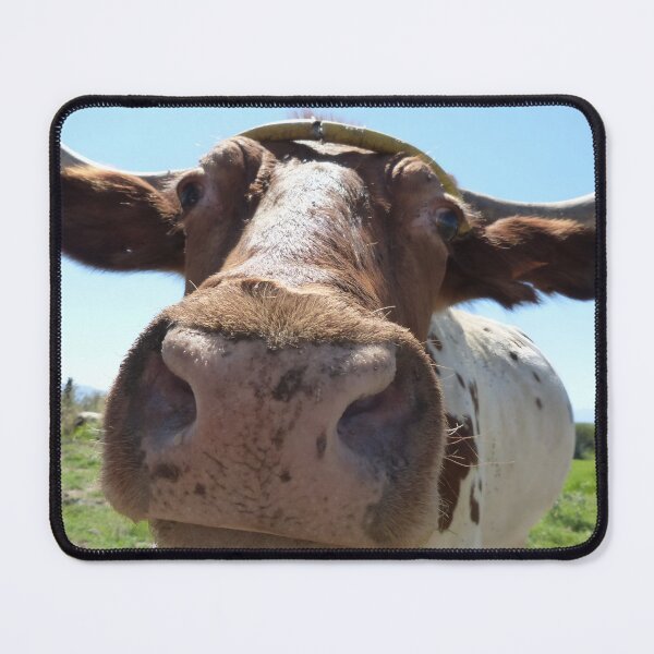 Artikelvorschau, Cow with horns entworfen und verkauft von animal-animal.