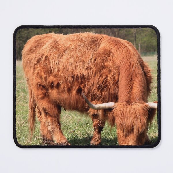 Item preview, Cow with horns designed and sold by animal-animal.