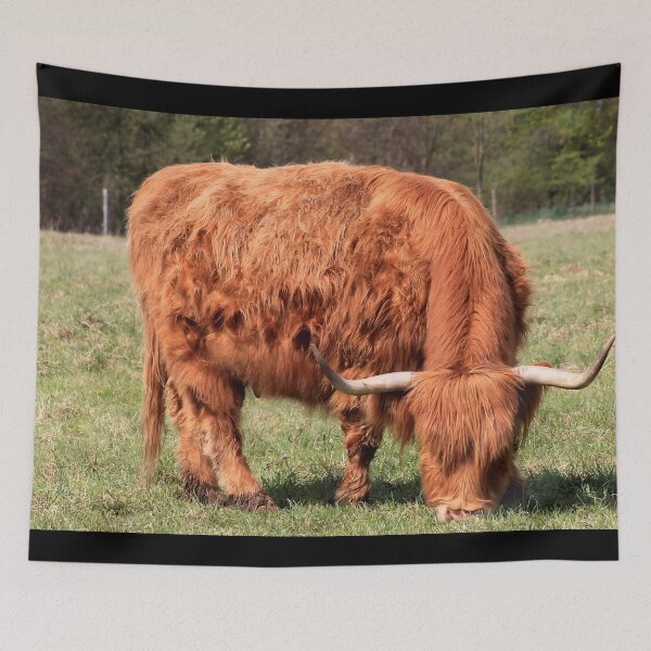 Item preview, Cow with horns designed and sold by animal-animal.