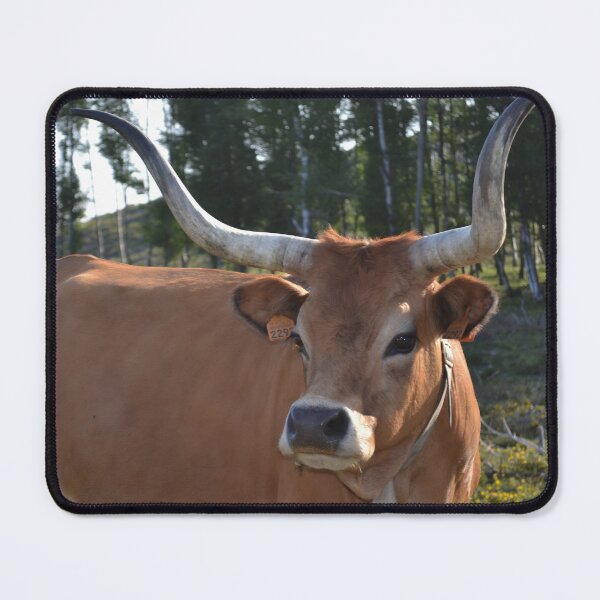 Artikelvorschau, Cow with horns entworfen und verkauft von animal-animal.