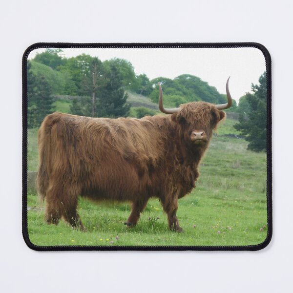 Item preview, Cow with horns designed and sold by animal-animal.